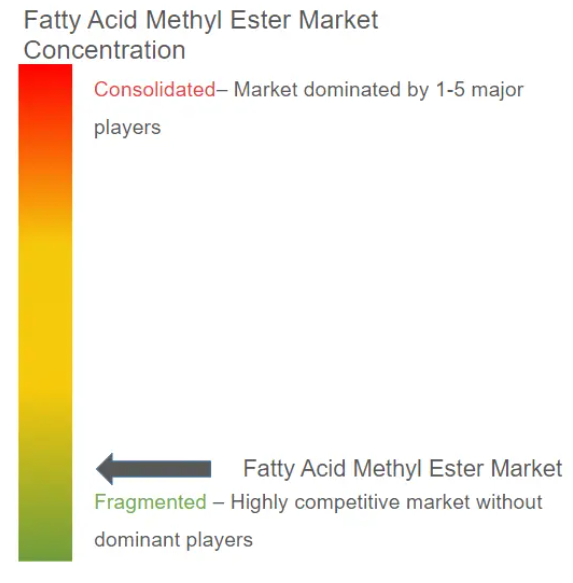 Fatty Acid Methyl Ester Market Concentration Fatty Acid Ester Market Concentration